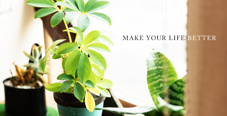 株式会社パチワークのイメージ03